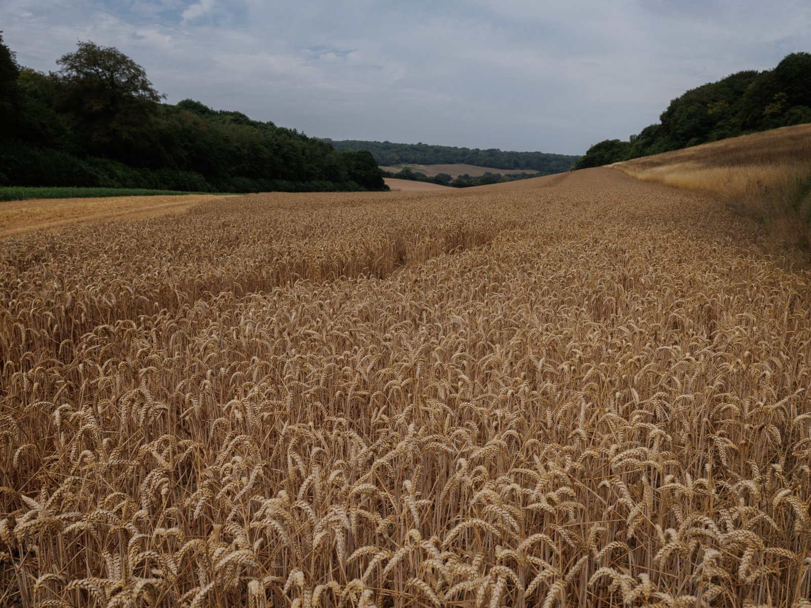 Conflicts and extreme weather pushing global food prices higher, warns UN