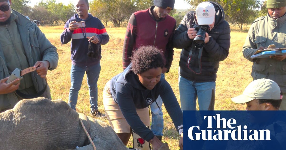 Bring on the drones: how a technology revolution is being rolled out across Africa’s nature reserves