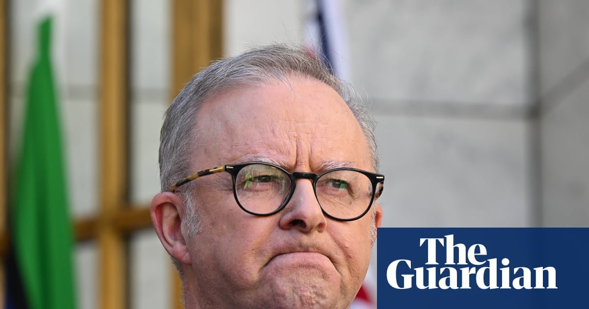 Albanese hits back at Pauline Hanson’s ‘nastiness’ after criticism of his mother’s use of public housing