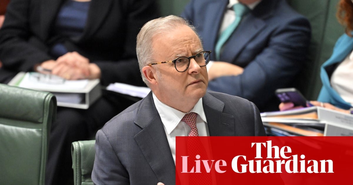 Australian politics live: PM distances himself from Labor staffer sacked over social media posts; Lambie says AI companies ‘like dinosaurs in Jurassic Park testing fences’