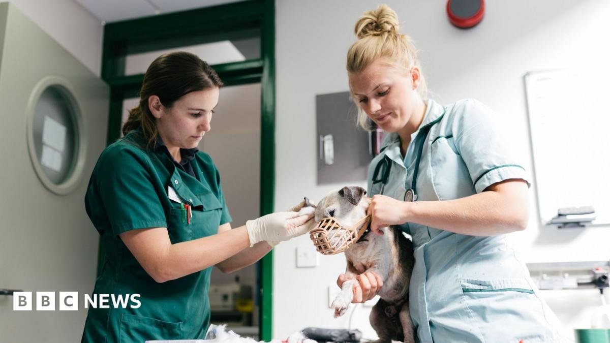 Vet prescription fees capped under rule changes
