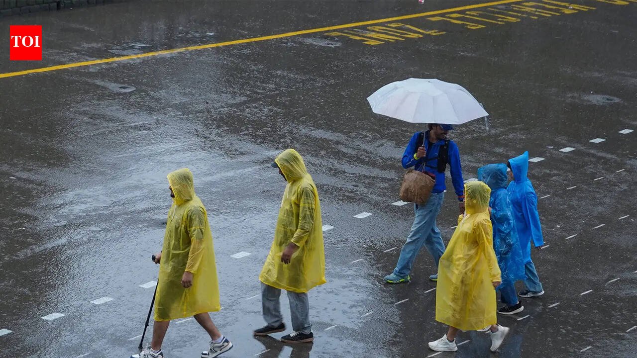 Dehradun schools, Anganwadi centres closed today amid heavy rain, lightning forecast