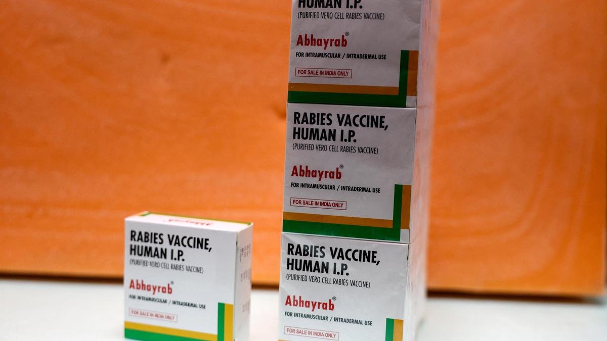 All about the counterfeit ‘Abhayrab’ rabies vaccine batch under investigation