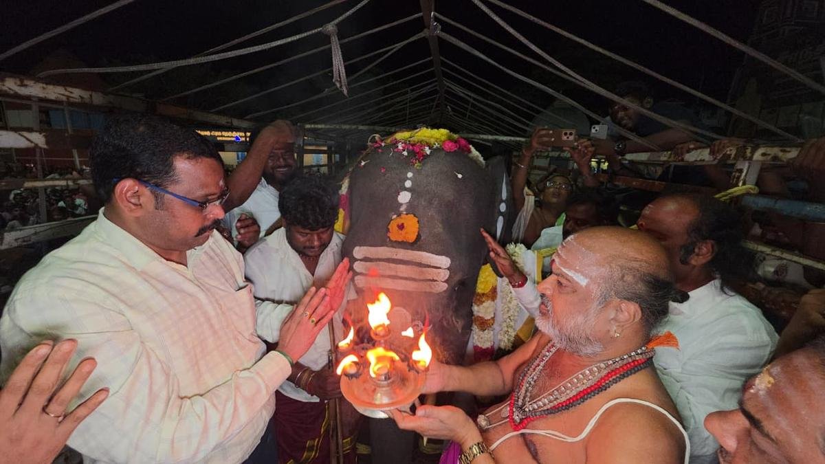 Tiruvannamalai Arunachaleswarar Temple receives eight-year-old elephant Hiralal from Assam