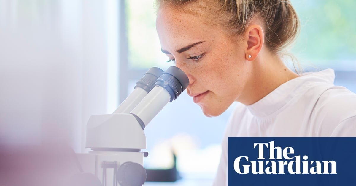 Can you futureproof your career by choosing an AI-resistant degree?
