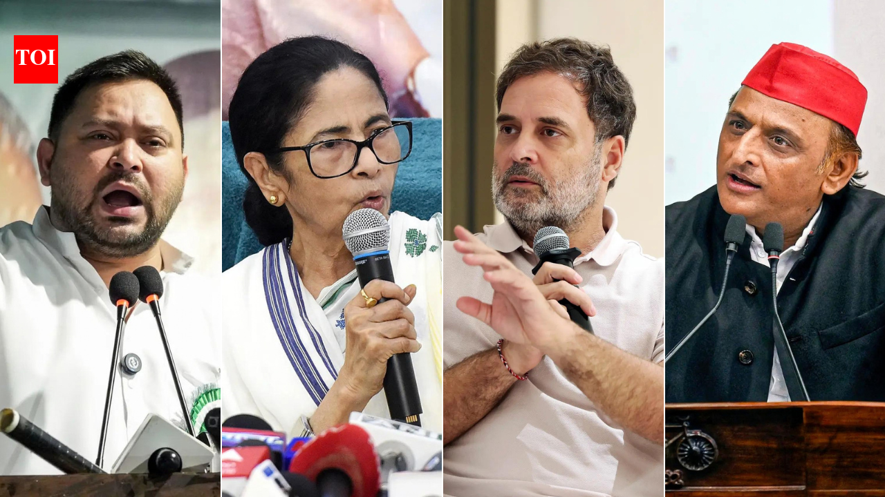 'Bihar, Maharashtra, Delhi, Haryana & West Bengal': Oppn seeks fresh polls after EC 'dissent' report
