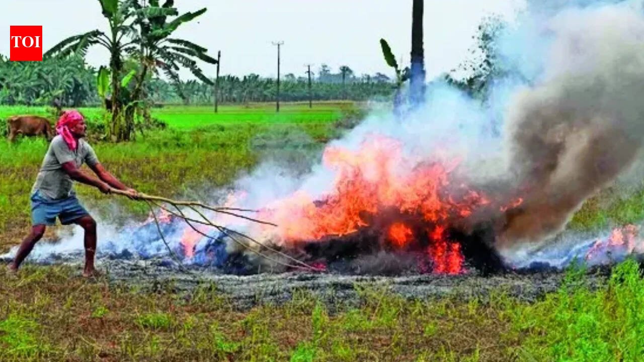 Stringent ‘red entry’ clause in land revenue record proposed to curb farm fires in Delhi-NCR and adjoining areas