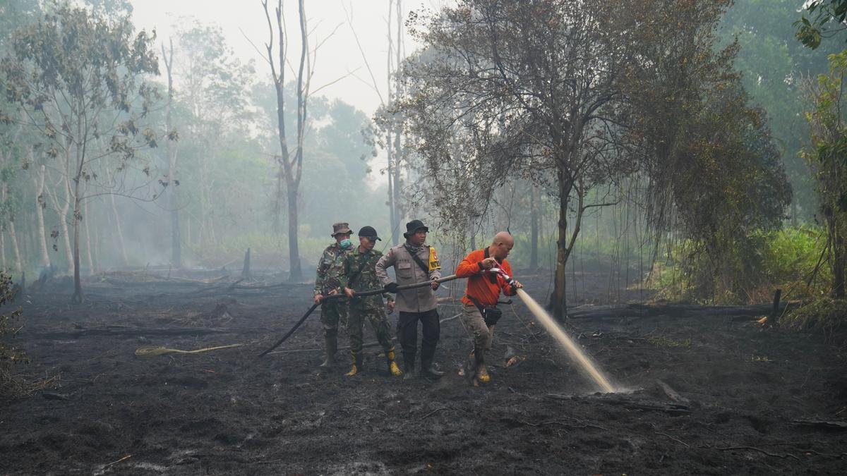 This year’s El Niño-driven heat could cause nearly half a million more deaths, group says