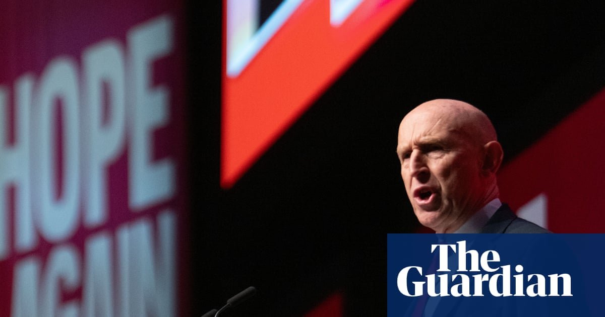 Labour figures uneasy about Healey’s ‘underpowered’ approach to budget
