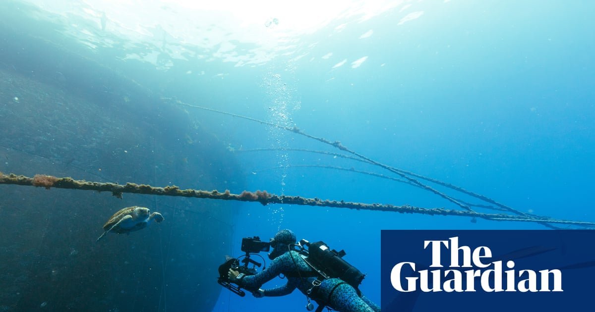 Blue Planet III features cloudier footage to prove authenticity amid AI boom