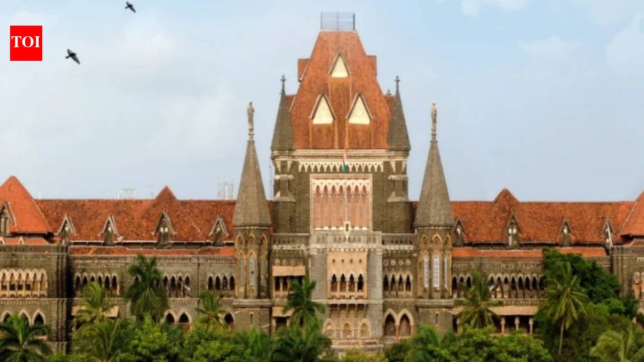 'What's the purpose of SIR if citizens are removed?' Bombay high court's Goa bench raps EC