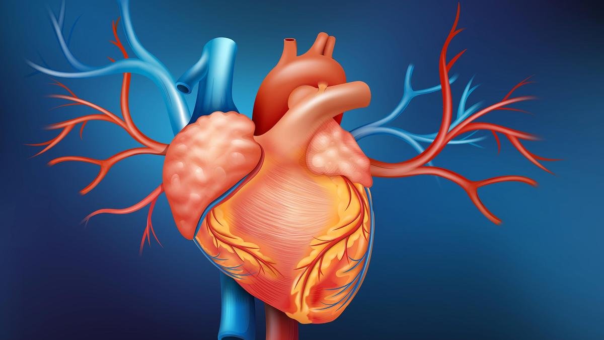 Kerala CM’s statement on angioplasty becomes a talking point among doctors