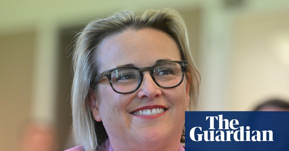 OpenAI must explain action taken to stop AI hacking Australians’ private data, chair of federal inquiry says