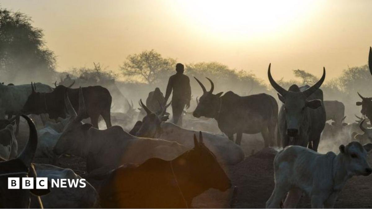 Co-ordinated cattle raids kill at least 72 people in South Sudan