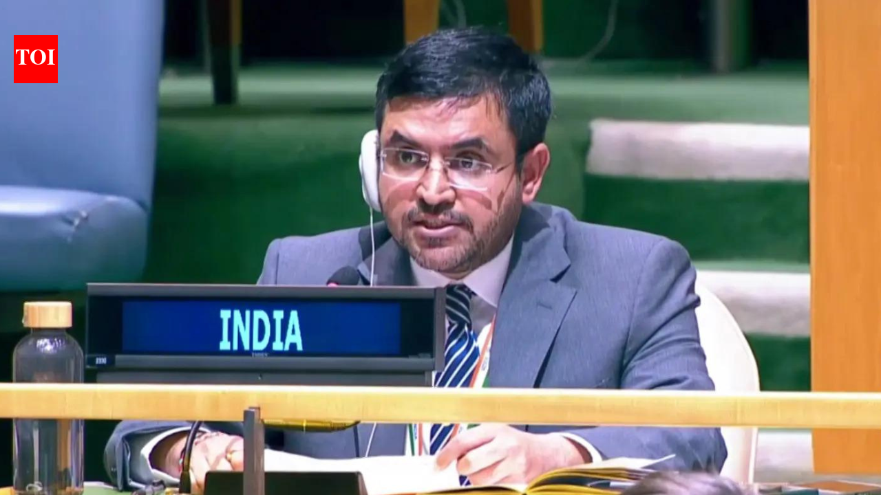 ‘Prioritise welfare over military directives’: India raps Pak on minority rights at UN