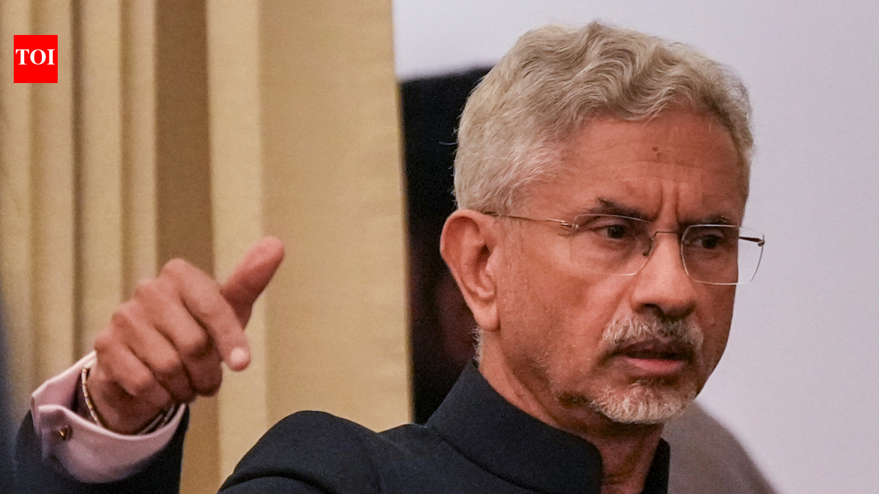 'Global South bears burden': At G20 meet, Jaishankar flags attacks on ships & Indian seafarers in Hormuz