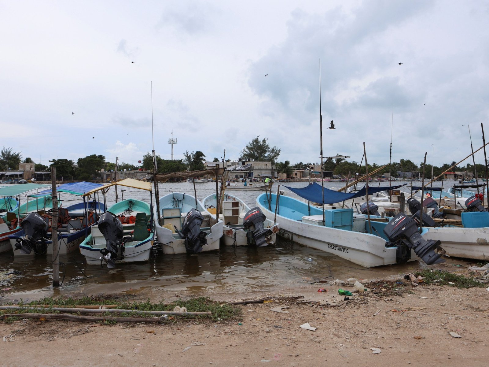 Faecal waste pollutes drinking water in Mexico’s Yucatan, Greenpeace says