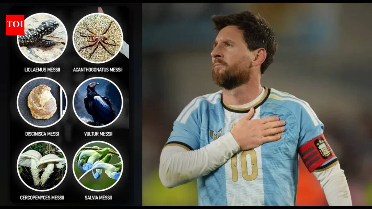 Lionel Messi breaks his own Guinness World Record with six species named after him
