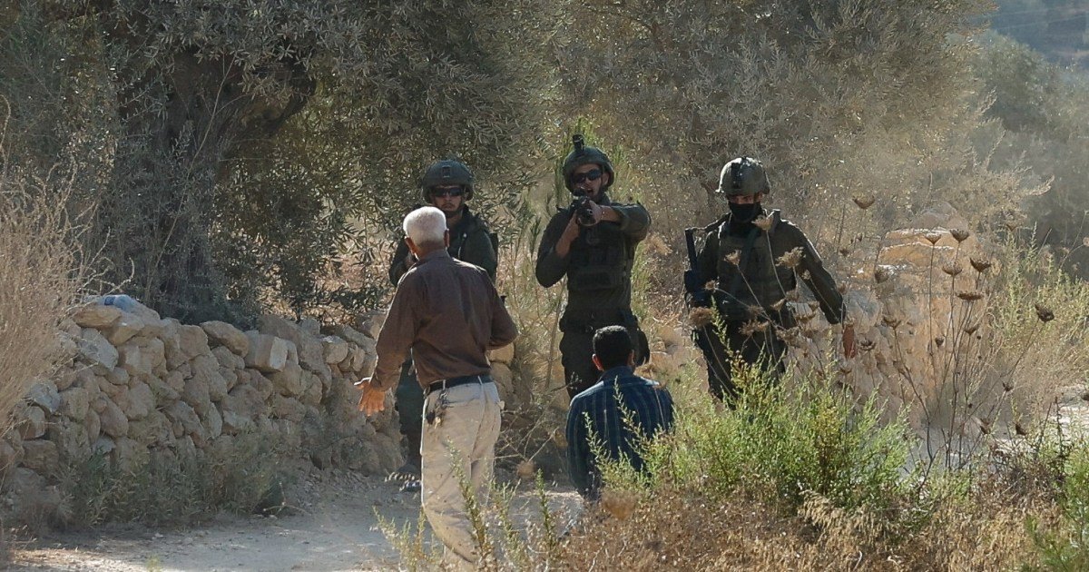 Israeli settlers attack farmers in West Bank pogrom, soldiers hit reporters