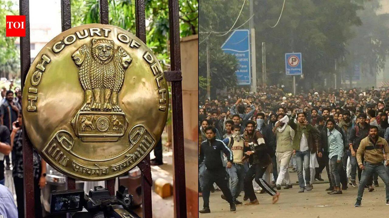‘Police can’t remain mute spectators’: Delhi HC dismisses pleas for fresh probe into 2019 Jamia violence
