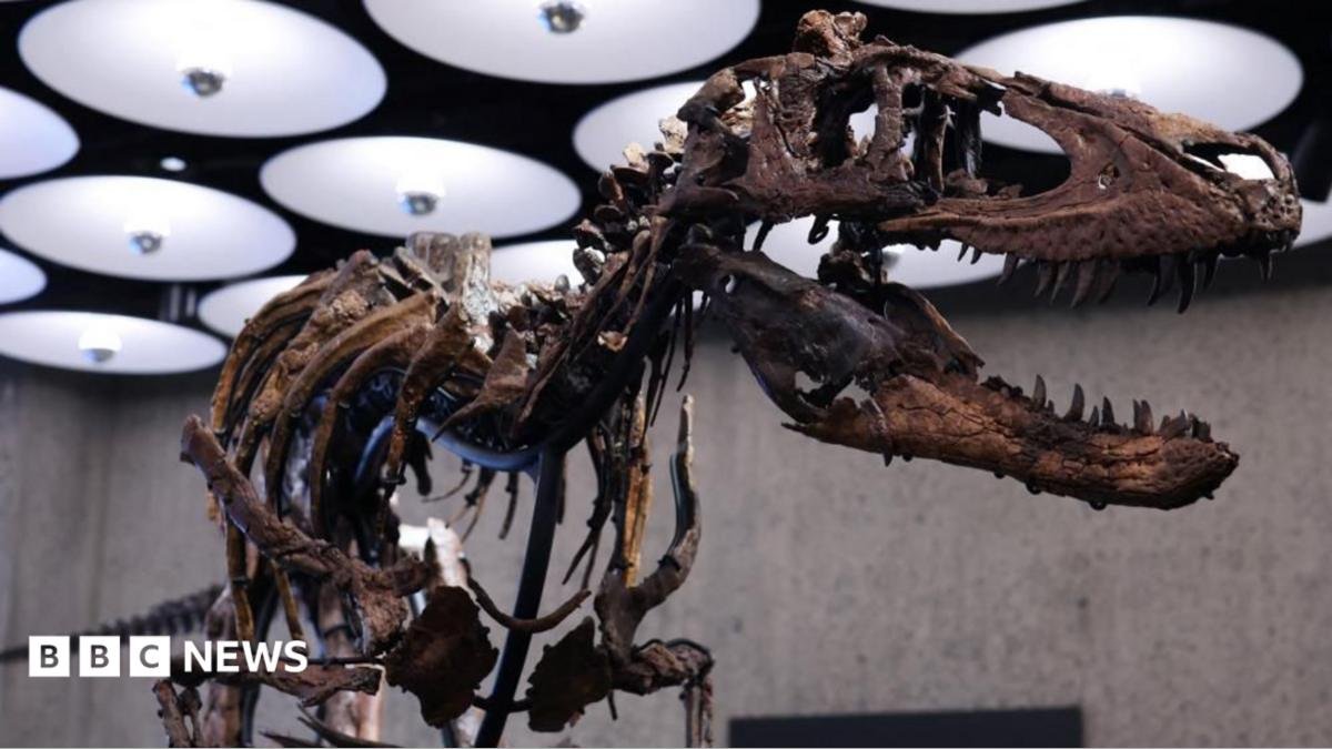 Nanotyrannus skeleton goes to auction in New York with £4.5m price tag