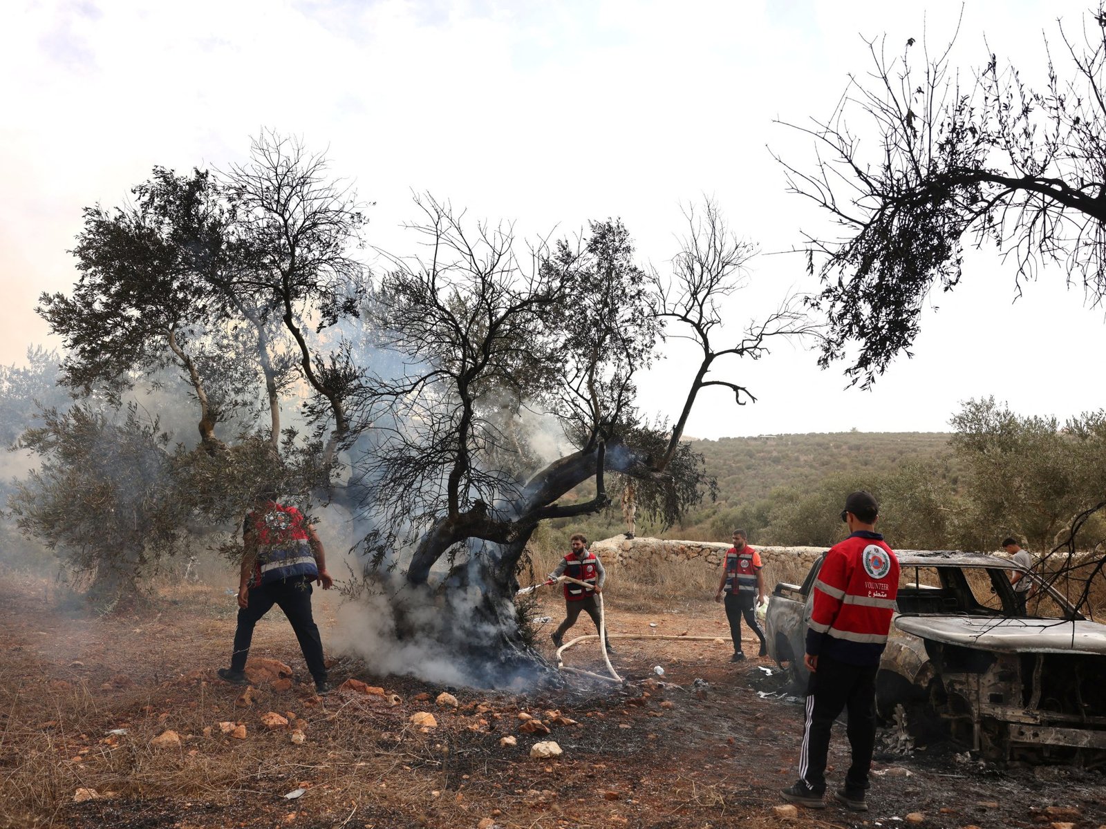 Israeli settlers continue progrom amid olive harvest in occupied West Bank