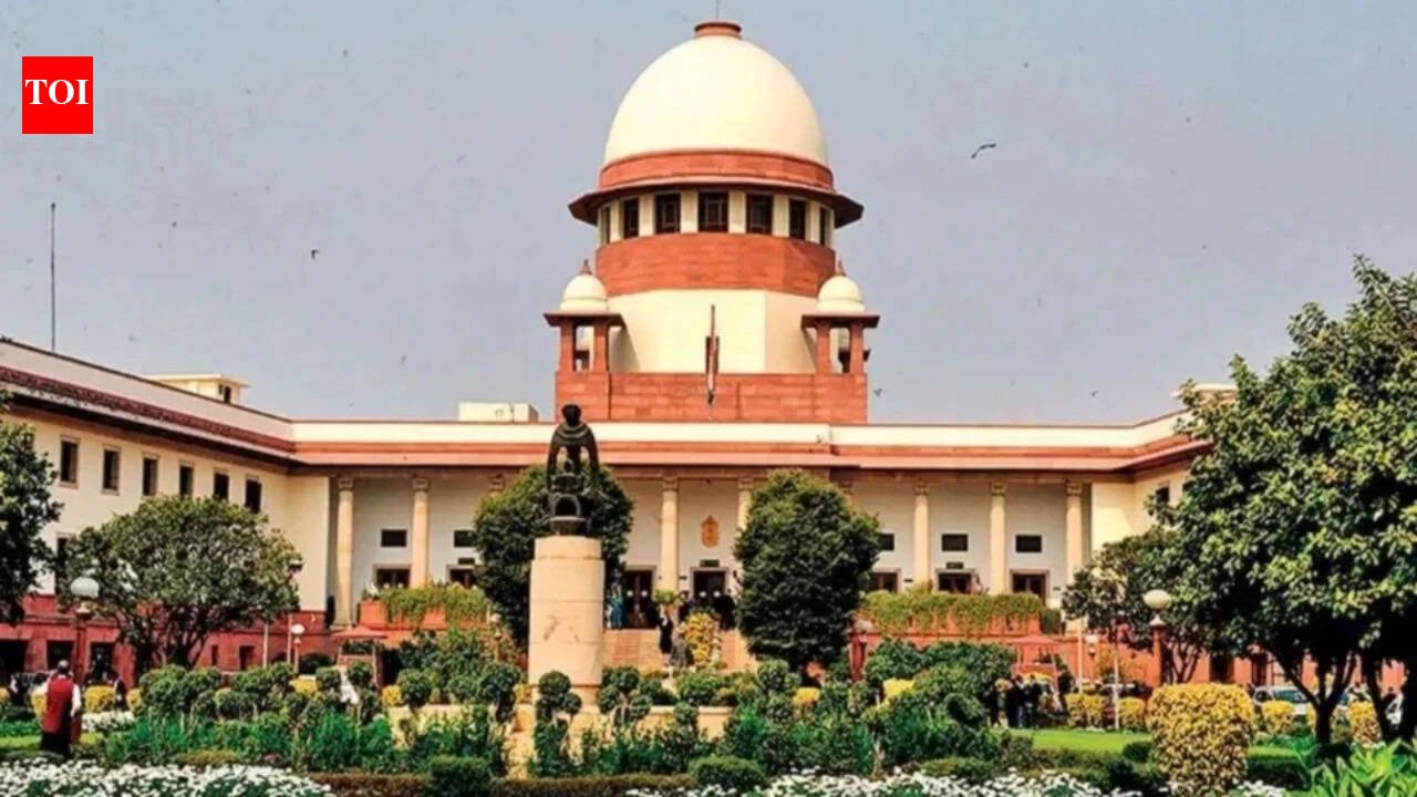 No EC nod needed for voter to sue candidate over false information: Supreme Court