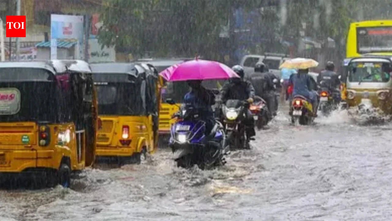 Tamil Nadu rain: Schools closed in Chennai and four other districts on October 21; check latest weather updates