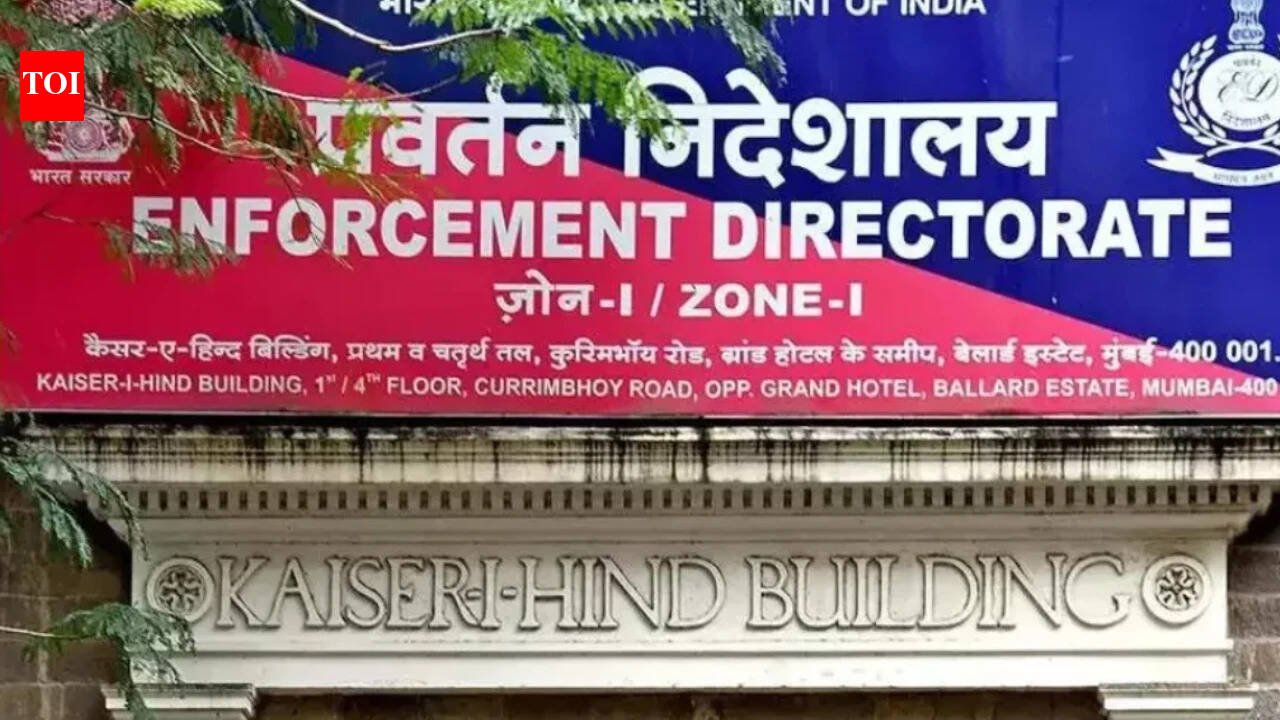 ED moves Supreme Court against HC order to quash case against portal, founder