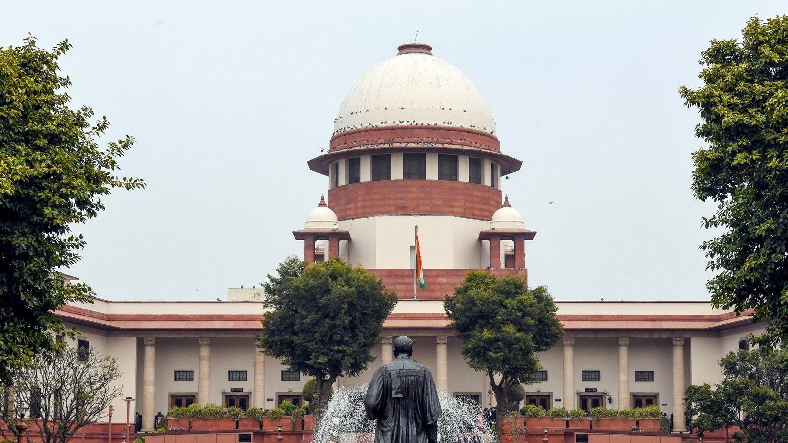 ‘Orders becoming a mockery’: Supreme Court pulls up Delhi govt over firecracker curbs