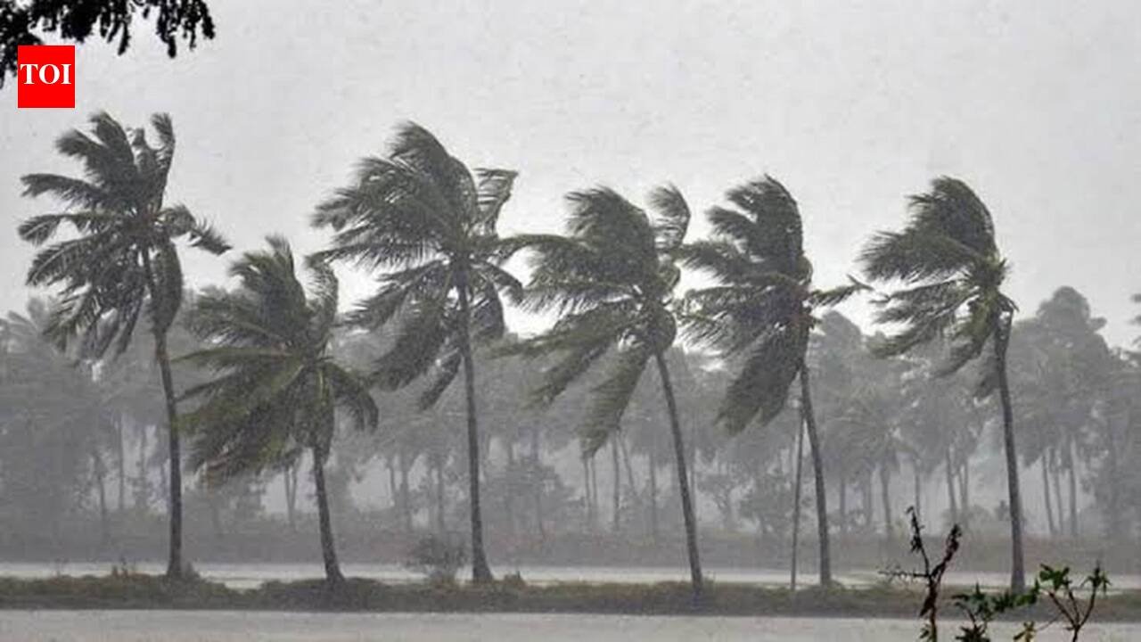 Cyclone Arnab: Schools closed in Tamil Nadu districts, Puducherry and Karaikal on October 26, check complete details here
