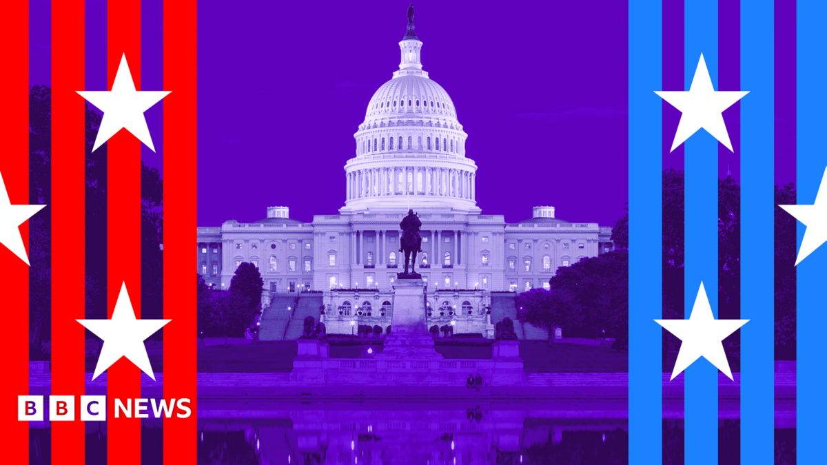 What are the US midterms? A simple guide