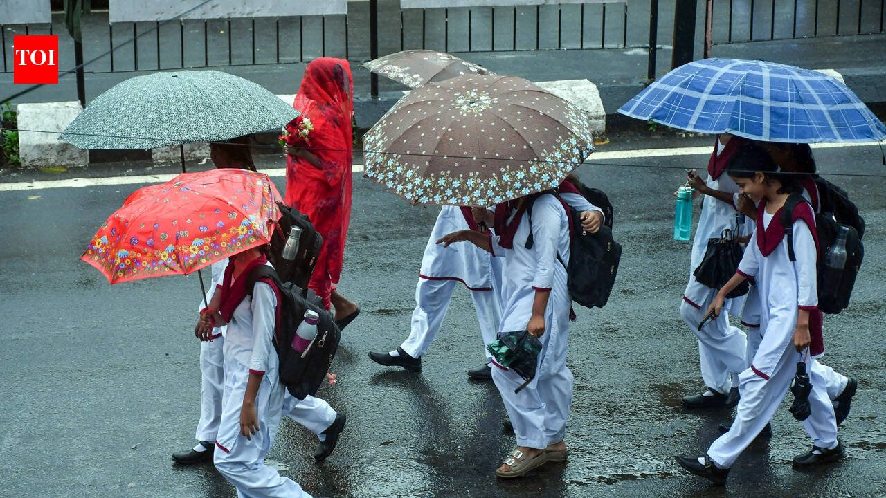 Cyclone Arnab: Schools closed in several Odisha districts on October 27 and 28, OCS Mains exam dates revised