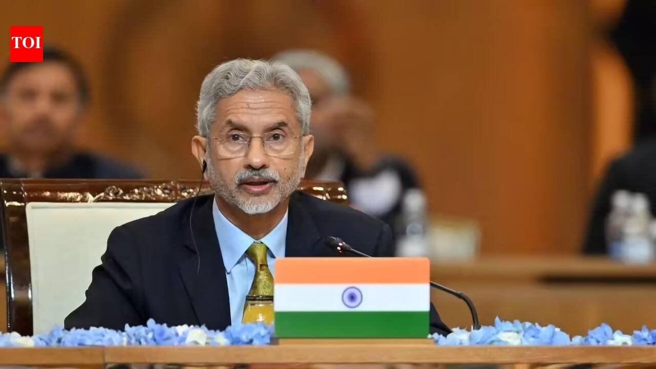 'Little bit more involved': Jaishankar says India has 'gone beyond advocacy' to end Russia-Ukraine war