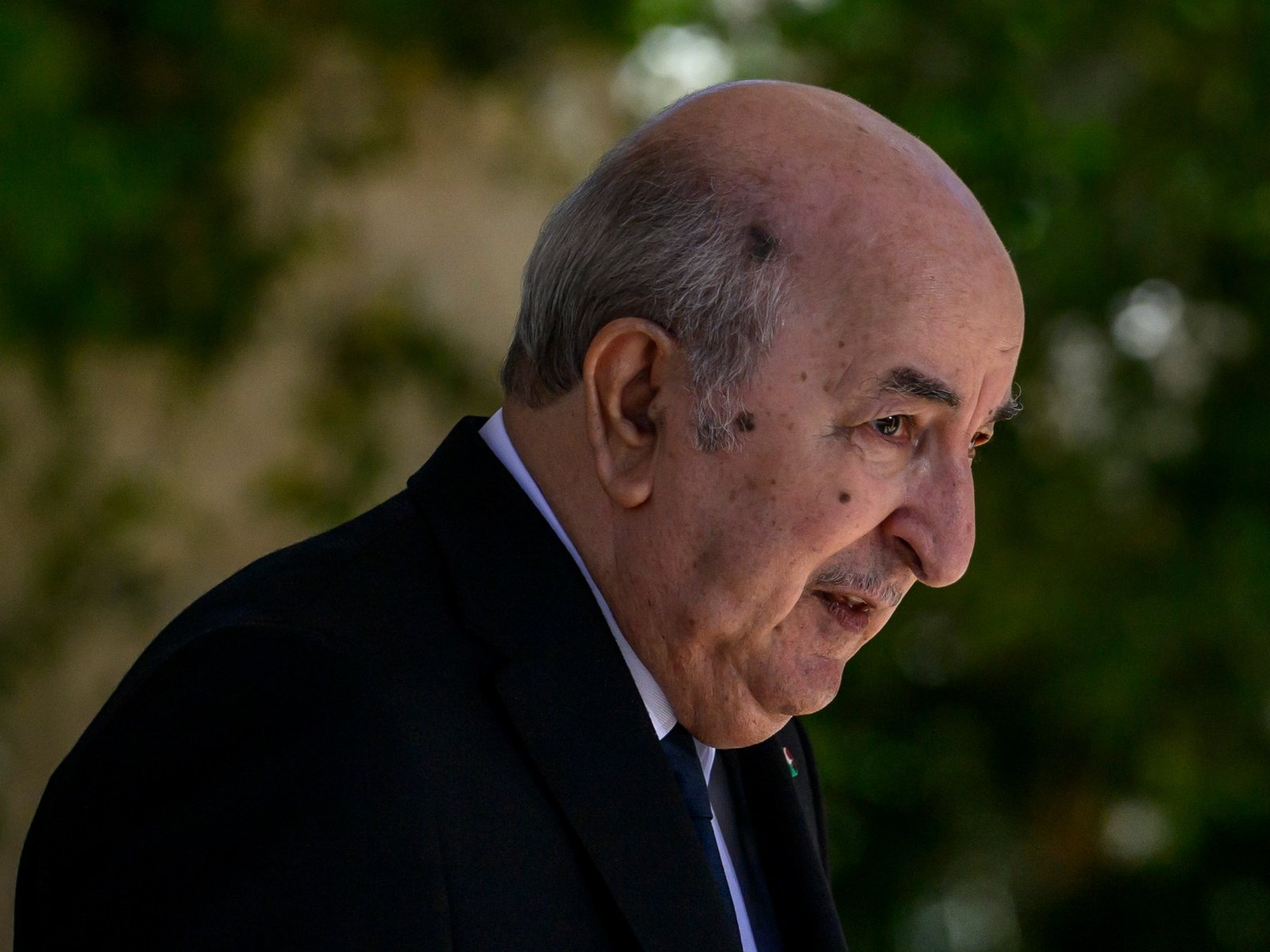 Algeria sent fighter jets to Niger to thwart ‘coup attempt’, president says