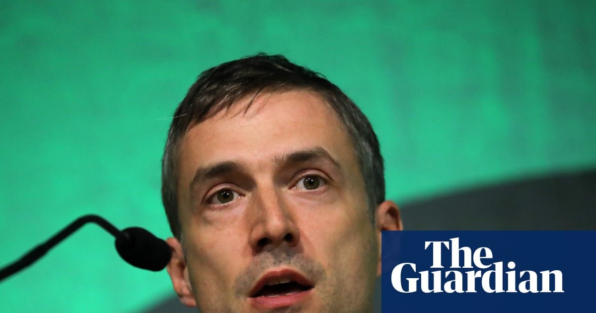 Ex-Greens co-leader urges council groups to reject Zionism policy