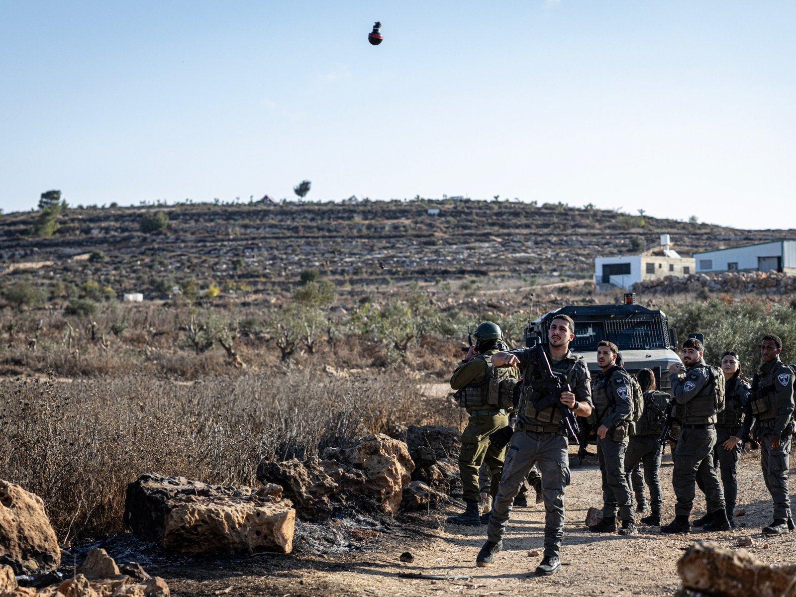Israeli settlers attack European diplomats during West Bank olive harvest