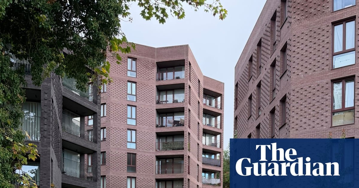 They asked for 80 homes – she gave them 157! Council-housing miracle named Britain’s best new building