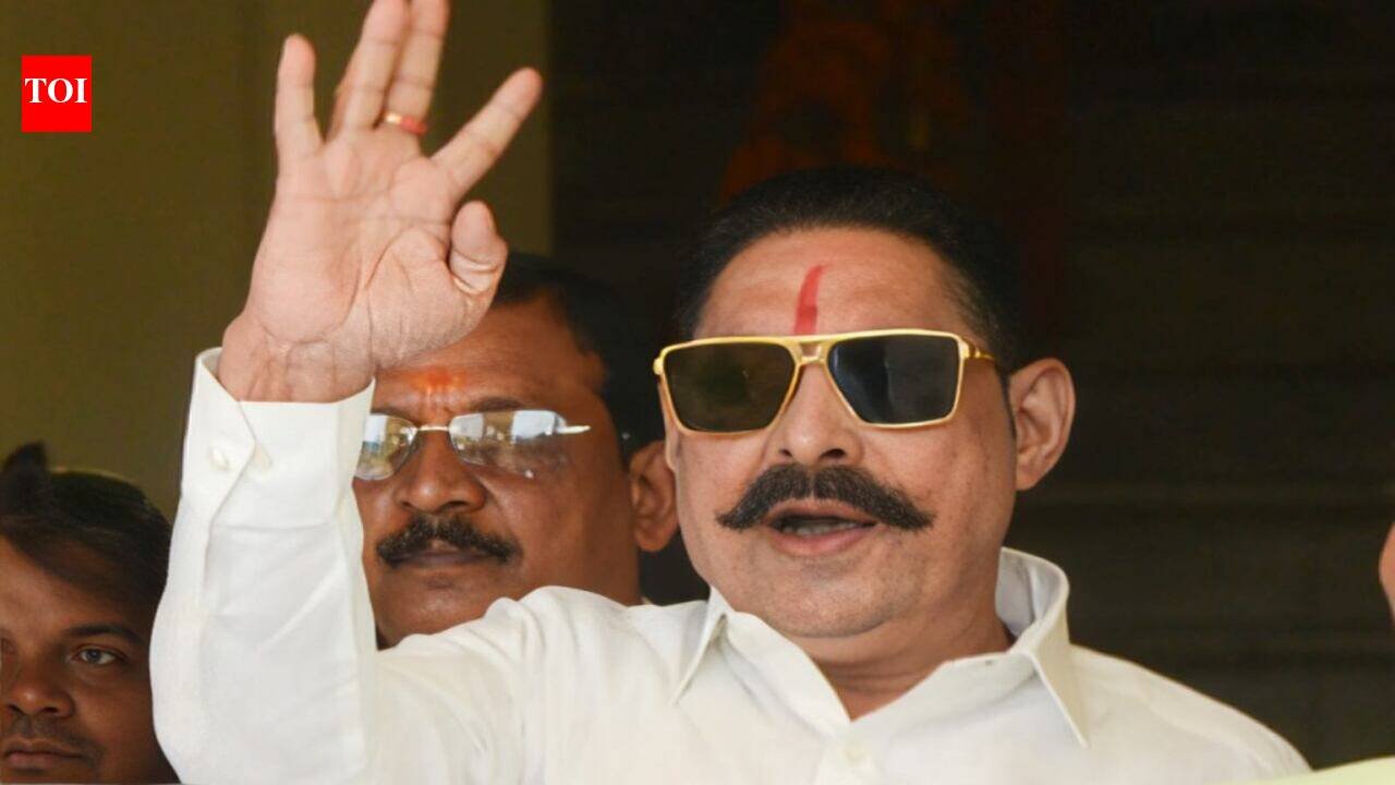 'I will be present in court': Anant Singh to surrender by Dec 1 after SC cancels bail; accuses Neeraj Kumar of plotting case