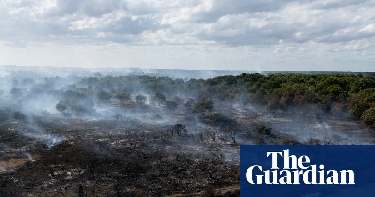 Revealed: Government quietly dropped plan to prepare England for wildfires