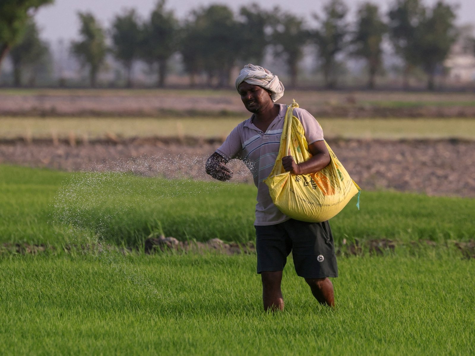 UN official warns of looming food crisis as Hormuz fertiliser plan stalls
