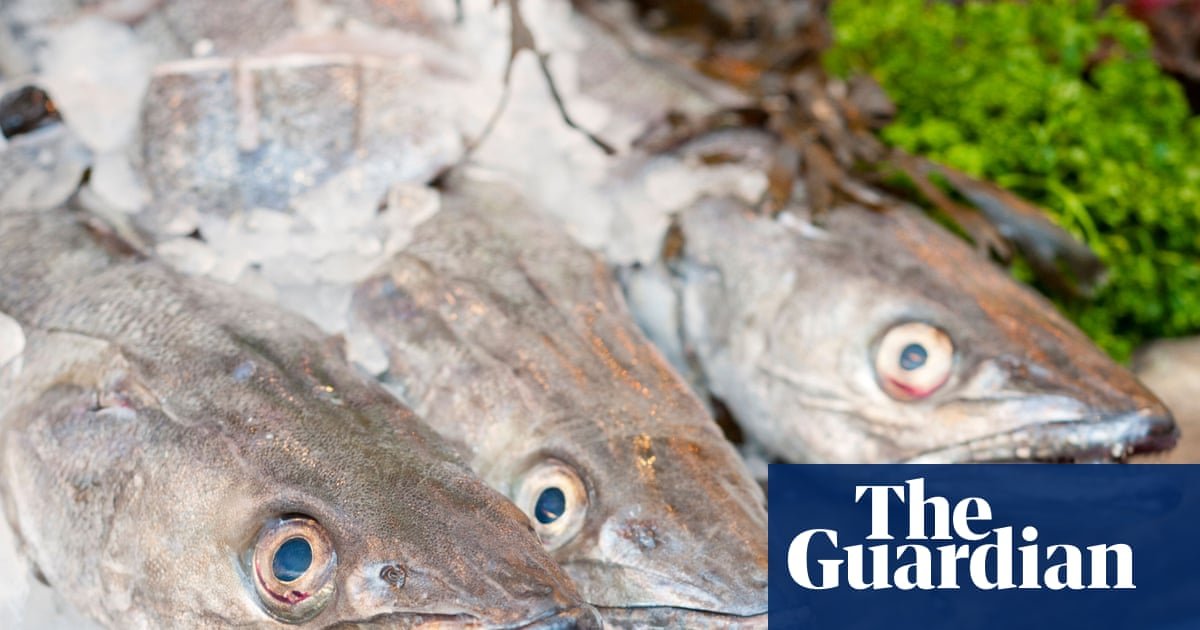 Scale back on hake and coley, seafood charity tells shoppers