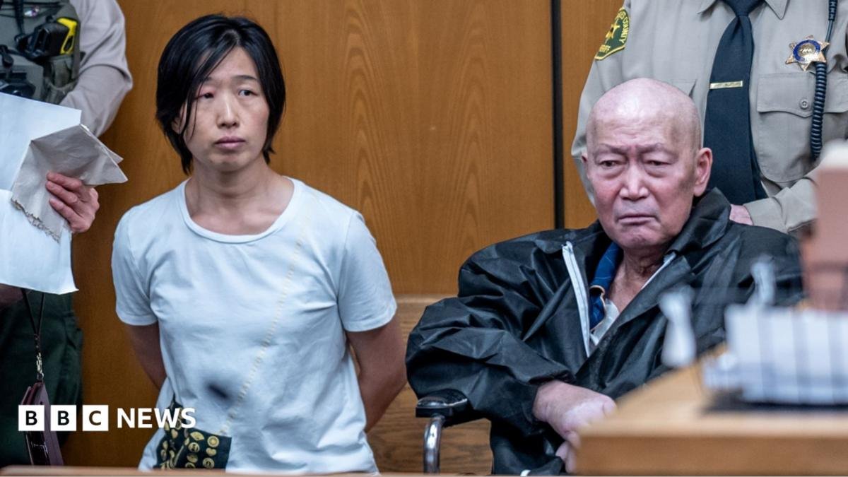 California pair charged with abusing at least 14 surrogate-born children