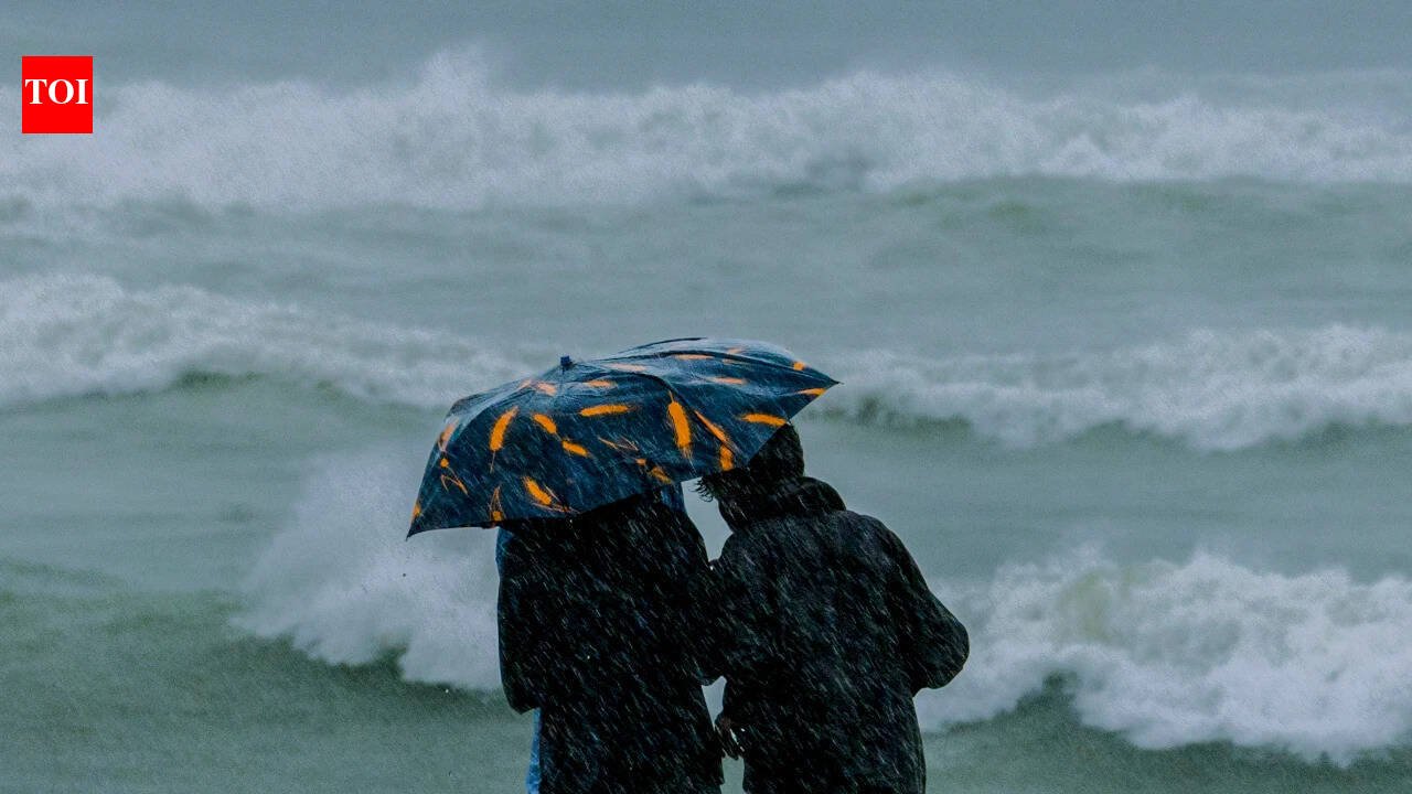 Aviation ministry suspends operations at three Andhra airports as Cyclone Arnab intensifies