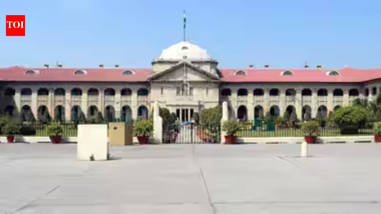 'Advance injustice': Allahabad HC flags POCSO Act's rigid application in minor couple cases